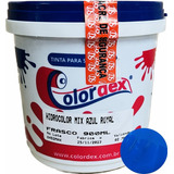 Tinta Hidrocolor Mix Azul Royal 900ml Colordex