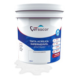 Tinta Impermeabilizante Para Piscina Borracha Recupera 900ml Acabamento Fosco Cor Branco