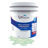 Tinta Impermeabilizante Para Piscina Borracha Recupera 900ml Acabamento Fosco Cor Verde