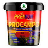 Emborrachada