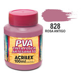 Tinta Pva Fosca Acrilex 100ml Para Artesanato Escolha A Cor