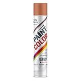 Tinta Spray Paint Color Metálica 250ml Cobre