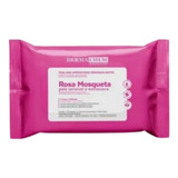 Toalha Facial Dermachem 025un Demaquilante Rosa Mosqueta
