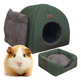 Pet