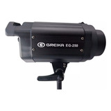 250eg110v