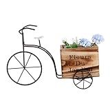 Toddmomy 3 Pçs Caixa Vaso De Plantas Recipiente Favores Do Casamento Plantas De Interior Mini Recipiente Jardim Bicicleta Plantador Flor Sala De Jantar Mesa Decoração Mesa De Trabalho