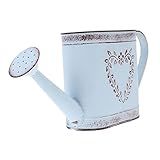 Toddmomy Vaso De Flores De Chaleira Antiga Jarro De Leite Antigo Vaso De Metal Decorativo Chaleira De água Plantar Regador Vaso De Ferro Aço Inoxidável Balde De Rega Recipiente Antiguidade