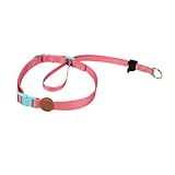 Toh Coleira Cabresto Fiji P