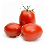 Tomate Rasteiro Rio Grande San Marzano 10 000 Sement De Cd