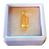 Gota