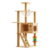 Torre Arranhador Médio Gato Com Capsula E Brinquedo Casa