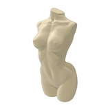 Torso Corpo Feminino Mulher