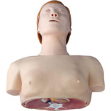Torso Modelo Manequim Para Treinamento De Rcp