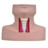Torso Para Traqueostomia Simulador Médico
