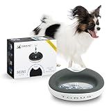 Torus Pet Tigela De água 1 Litro Água Filtrada Fresca Tigela Saudável E Higiênica Para Animais De Estimação Para Gatos E Cães Pequenos Carvão