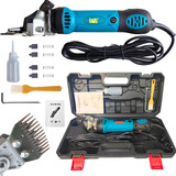 220v