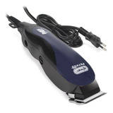 220v