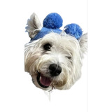 Touca Gorro