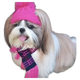 Touca gorro E Cachecol