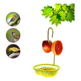 fruta