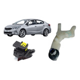 Cerato