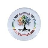 TREE MAISON CORONATING HOMES Placa De Carregamento De Cristal Selenita - Aproximadamente 7-6 Cm - Placa De Selenita Para Carregar Cristal Reiki - Placa De Selenita Para Limpeza De Cristal - Pacote Com