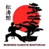 Treinamento Karate Shotokan - Video Aulas