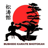 Treinamento Karate Shotokan 