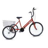 Triciclo Aro 24 Super Luxo 6 Opções De Cores