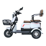 Triciclo Eletrico 750w Dois