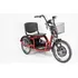 Triciclo Elétrico Fox 800w C  Farol E Alarme Duos Bikes
