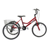 Triciclo Infantil Aro 20