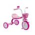 Triciclo Infantil Bicicleta Aro 5 You 3 Girl Rosa Nathor 
