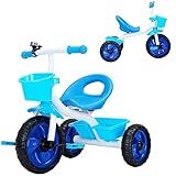 Triciclo Infantil Pedal Passeio