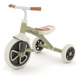 Triciclo Infantil Velotrol Aro