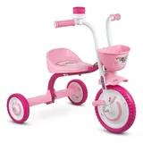 Triciclo Motoca Modelo You