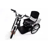 Triciclo Motor Eletrico Suporta