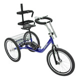 Triciclo Pedal Adaptado Especial Aro 20 Dream Bike Azul