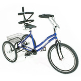 Triciclo Pedal Adaptado Especial Aro 24 Dream Bike Azul