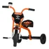 Triciclo Velotrol Motoca Infantil Sertoes Masculino Menino