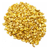 Trigo Mote 1 Kilo