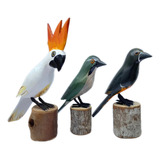 Trinca Ferro Cacatua