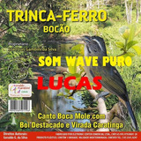 Trinca Ferro Bocão Wave Puro P Adestramento De Filhotes