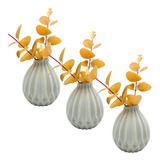 Trio Vasinhos Decorativos Com Suculenta Cactos