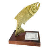 Trofeu De Pesca Peixe
