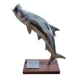 Trofeu De Pesca Tarpon