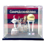 Troféu Flamengo Libertadores E Mundial 1981