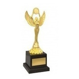 Troféu Honra Ao Mérito Personalizado 22 Cm