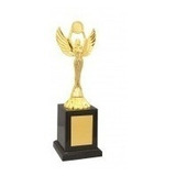 Troféu Honra Ao Mérito Personalizado 24 Cm
