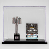 Trofeus Santos Historicos Libertadores